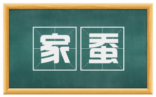 家蚕
