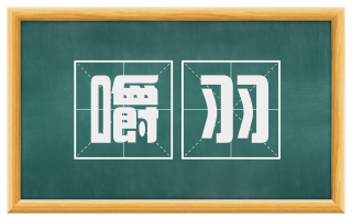 嚼羽