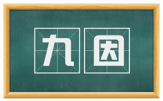 九因