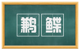 鹣鲽