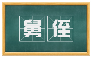 舅侄