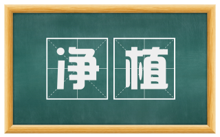 净植