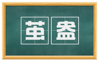 茧盎