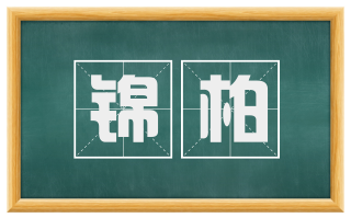 锦柏