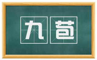 九苞