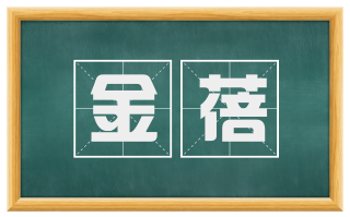 金蓓