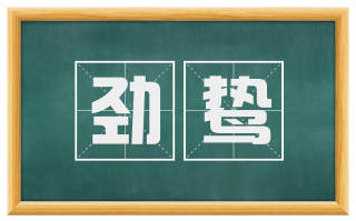 劲鸷