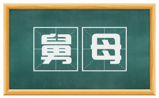 舅母