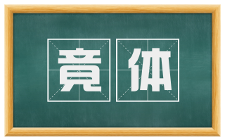 竟体