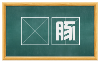 豭豚