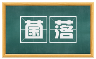 菌落