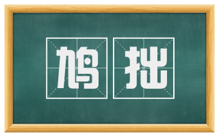 鸠拙