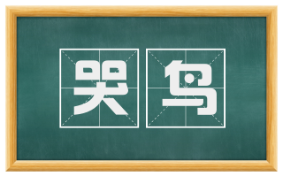 哭鸟