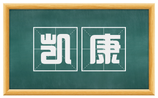 凯康