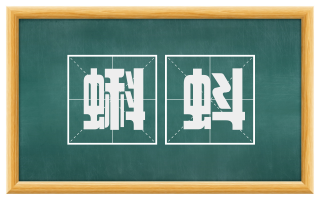 蝌蚪