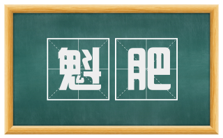 魁肥