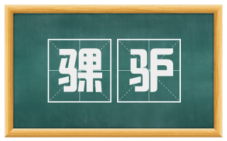 骒驴