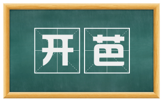 开芭