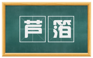 芦箔