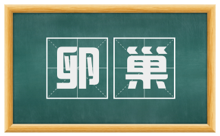 卵巢