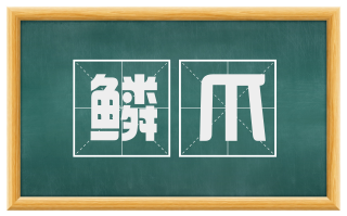 鳞爪
