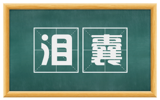 泪囊