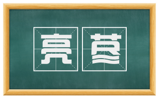 亮荩