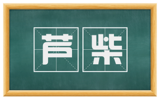 芦柴