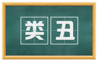 类丑
