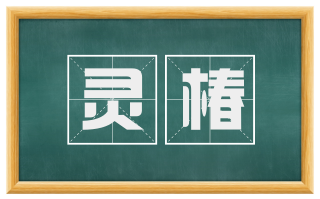 灵椿
