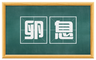 卵息