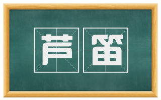 芦笛