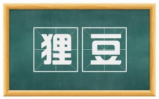 狸豆