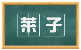 莱子