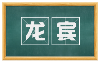 龙宾