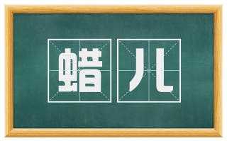 蜡儿