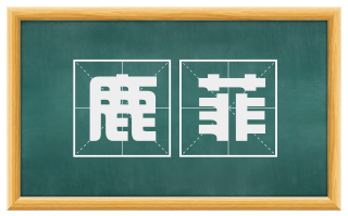 鹿菲
