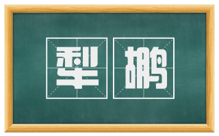 犁鹕
