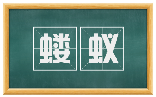 蝼蚁
