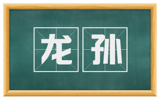 龙孙