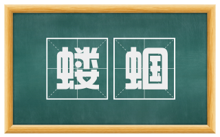 蝼蝈