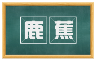 鹿蕉
