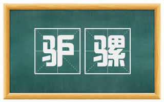 驴骡