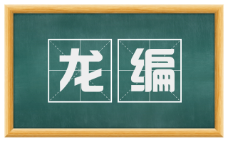 龙编