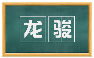 龙骏