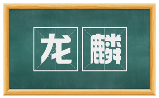 龙麟