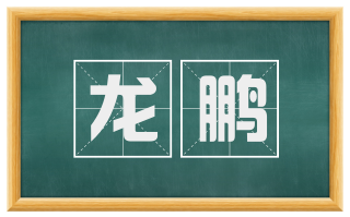 龙鹏