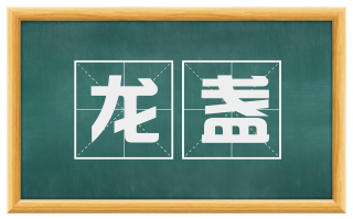 龙盏