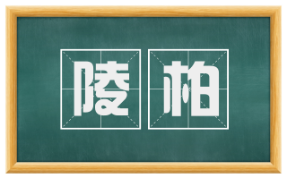 陵柏