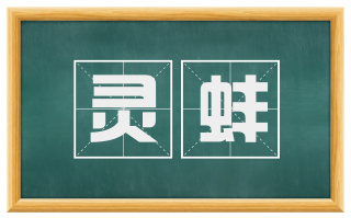灵蚌